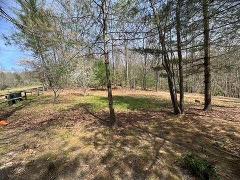 26 Ao Lane Morganton, GA 30560 - Photo 33 of 37 22 AO Lane