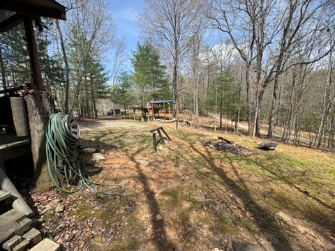 26 Ao Lane Morganton, GA 30560 - Photo 35 of 37 22 AO Lane