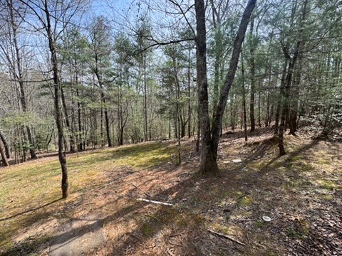 26 Ao Lane Morganton, GA 30560 - Photo 36 of 37 22 AO Lane