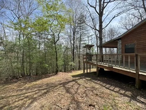 a view of a backyard with a large tree