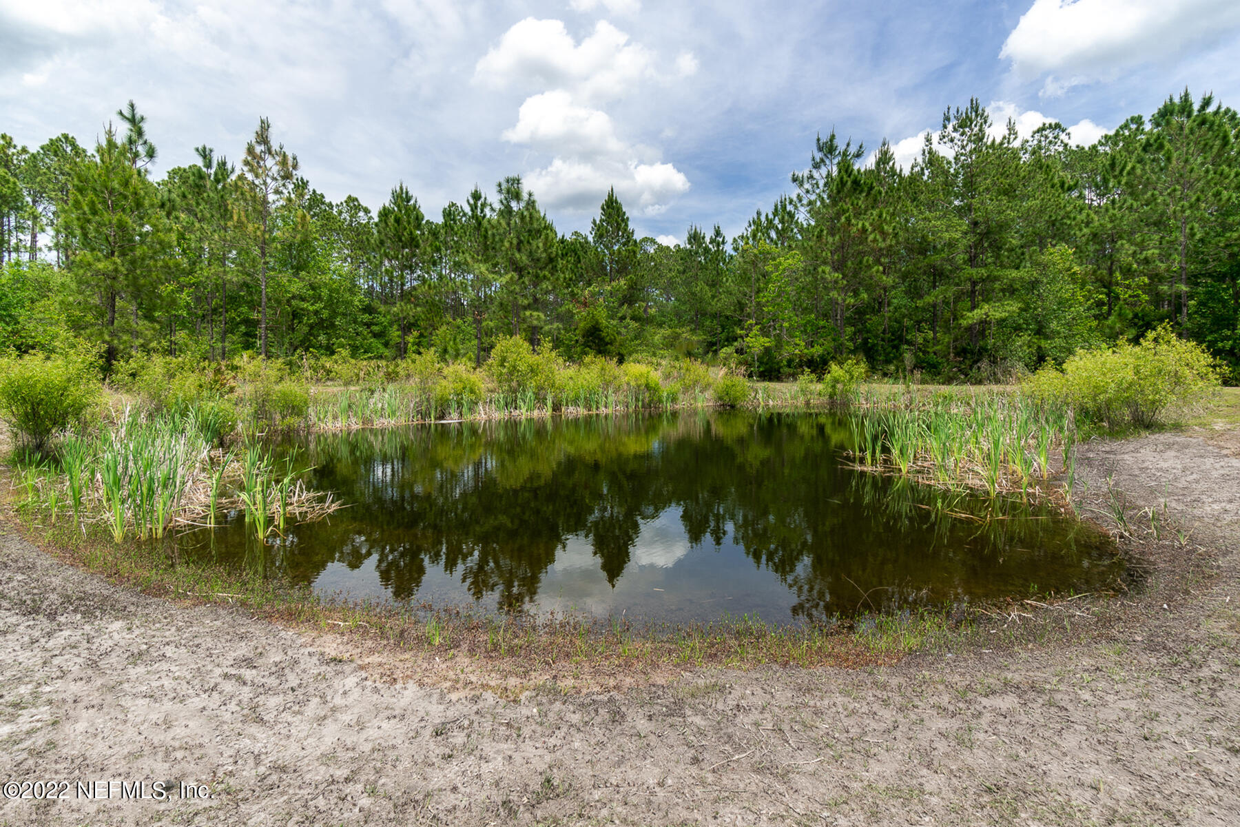 5764 Short Horn Road Middleburg, FL 32068 - Photo 30 of 34 Ext Pond a