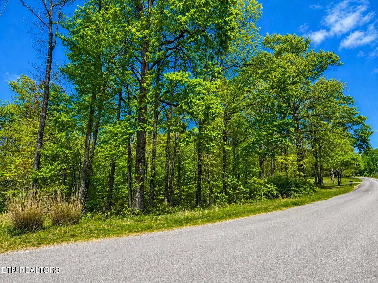 0 Rodgers Road Crossville, TN 38572 - Photo 1 of 2 Gallery Image 1
