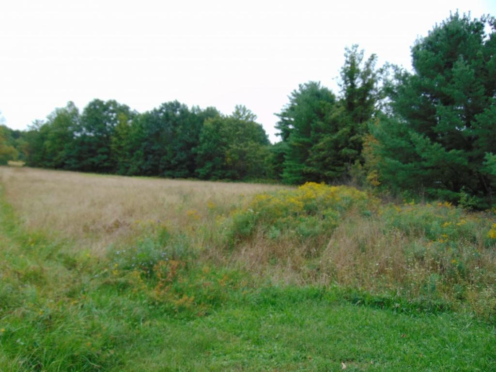 75 School House Road Owego, NY 13827 - Photo 8 of 10 Gallery Image 8