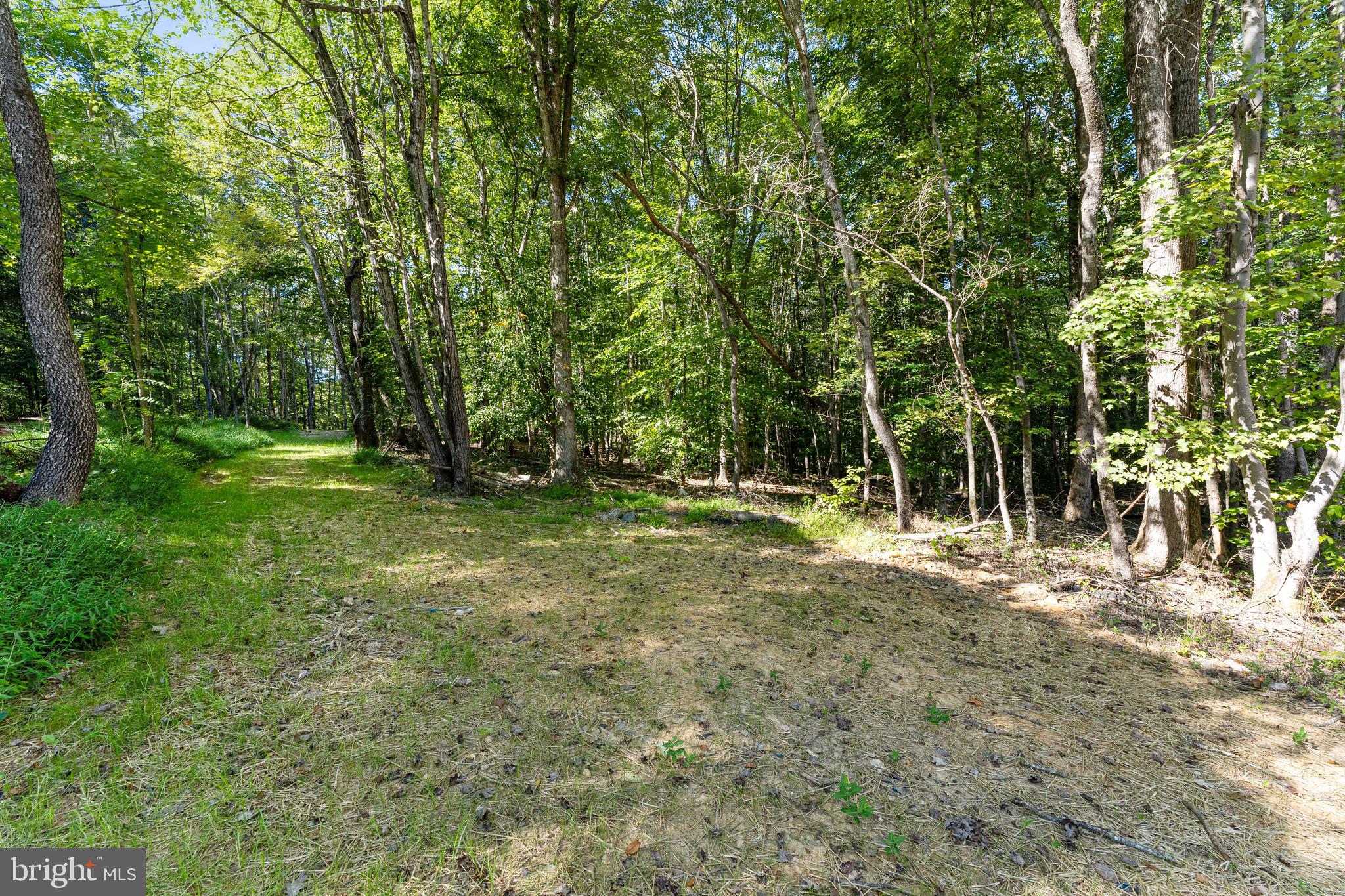 31713 Russel Road Locust Grove, VA 22508 - Photo 29 of 30 Gallery Image 29