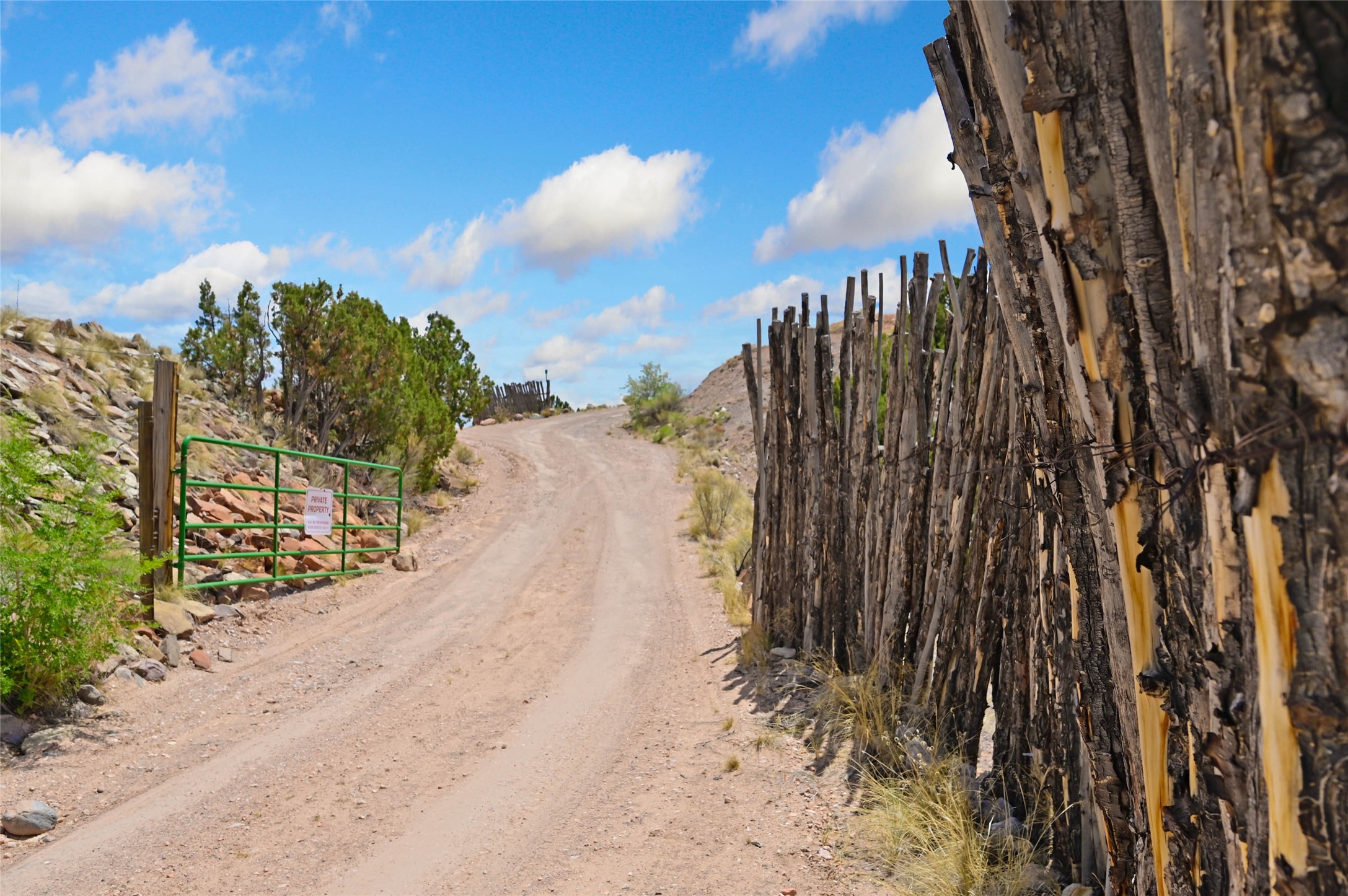 1 Ray Road Ojo Caliente, NM 87549 - Photo 11 of 32