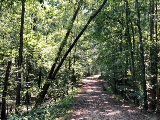 3081 Perry Town Road Crosby, MS 39633 - Photo 11 of 45 Photo 11