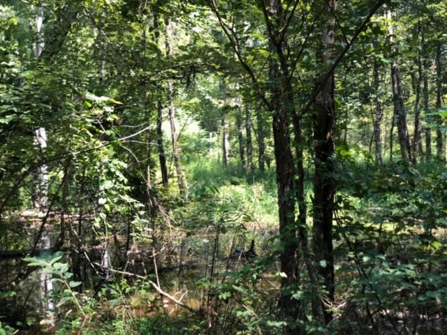 3081 Perry Town Road Crosby, MS 39633 - Photo 12 of 45 Photo 12