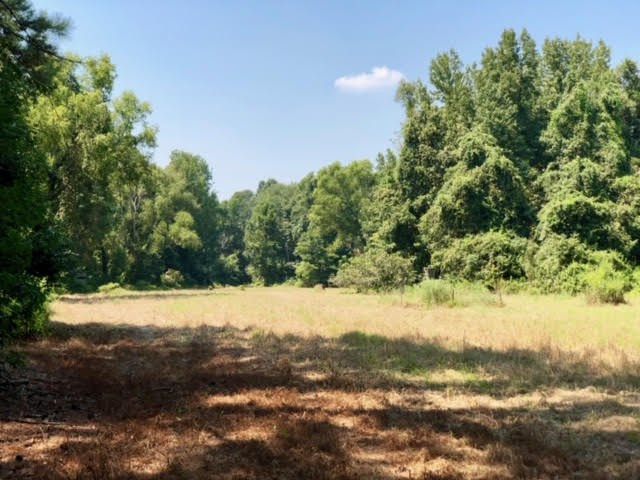 3081 Perry Town Road Crosby, MS 39633 - Photo 14 of 45 Photo 14