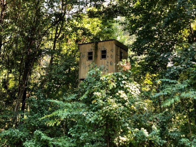 3081 Perry Town Road Crosby, MS 39633 - Photo 15 of 45 Photo 15