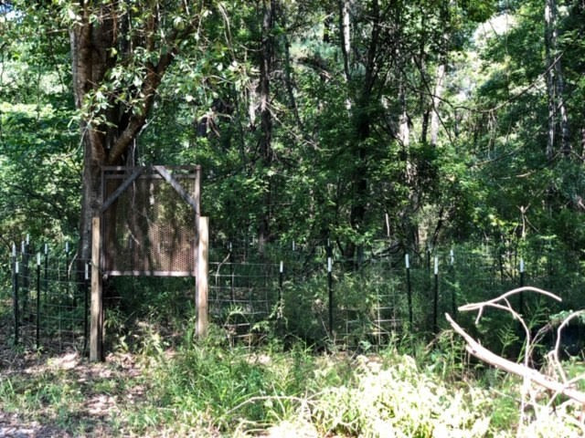 3081 Perry Town Road Crosby, MS 39633 - Photo 16 of 45 Photo 16