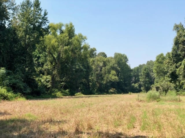 3081 Perry Town Road Crosby, MS 39633 - Photo 17 of 45 Photo 17