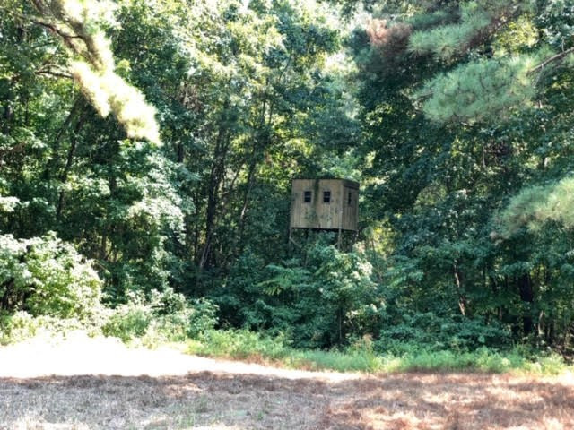 3081 Perry Town Road Crosby, MS 39633 - Photo 18 of 45 Photo 18