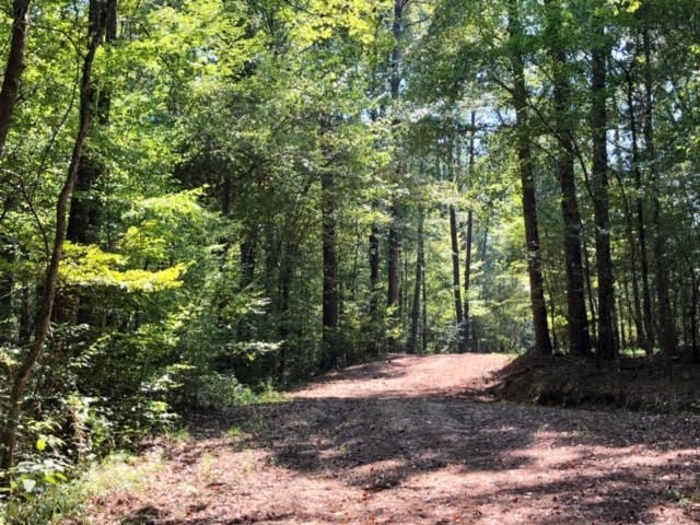 3081 Perry Town Road Crosby, MS 39633 - Photo 20 of 45 Photo 20