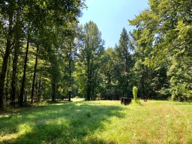 3081 Perry Town Road Crosby, MS 39633 - Photo 2 of 45 Photo 2