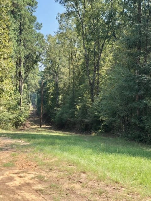 3081 Perry Town Road Crosby, MS 39633 - Photo 21 of 45 Photo 21