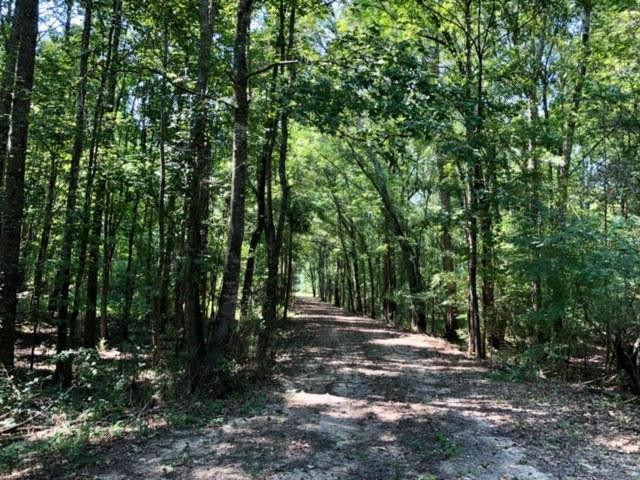 3081 Perry Town Road Crosby, MS 39633 - Photo 3 of 45 Photo 3