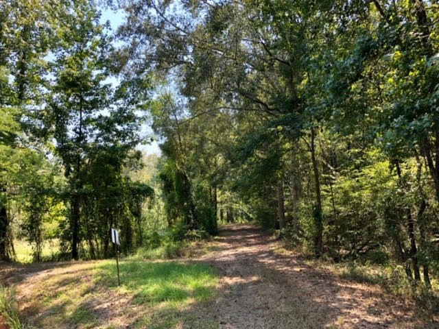 3081 Perry Town Road Crosby, MS 39633 - Photo 10 of 45 Photo 10