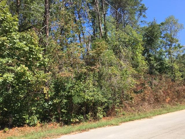 Wilderness Road Friendsville, TN 37737 - Photo 1 of 2 IMG_1255