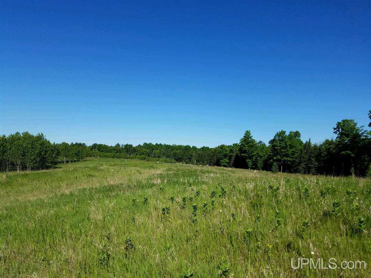W2135 Cazzola Road Vulcan, MI 49892 - Photo 10 of 16