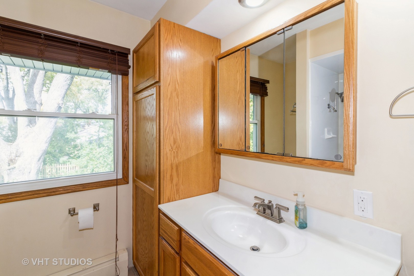 211 East Ottawa Street Sycamore, IL 60178 - Photo 26 of 33 a bathroom with a sink mirror and a shower
