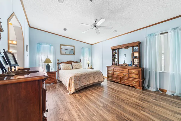 a view of a white house with a large tree