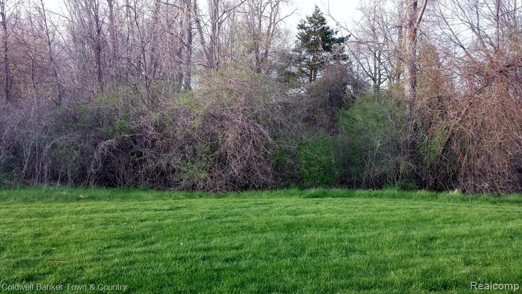 4726 Summer Ridge Drive, Unit 32 Howell, MI 48843 - Photo 10 of 27 4726 Summer Ridge (15).jpg