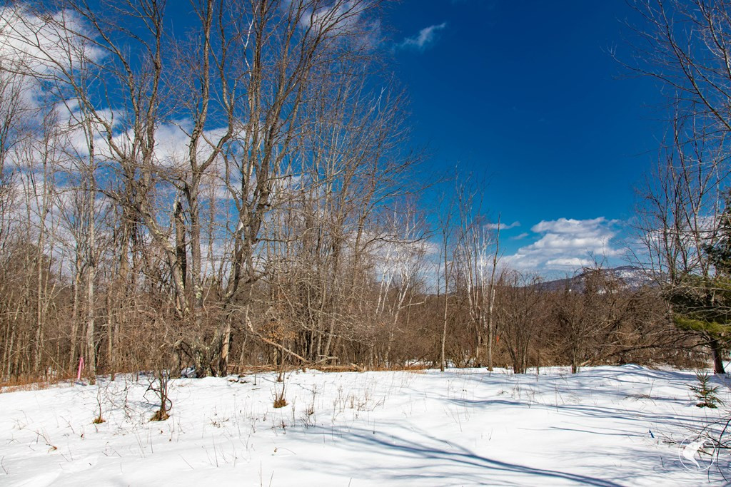 569 Stickney Bridge Road Jay, NY 12941 - Photo 14 of 23 Gallery Image 14