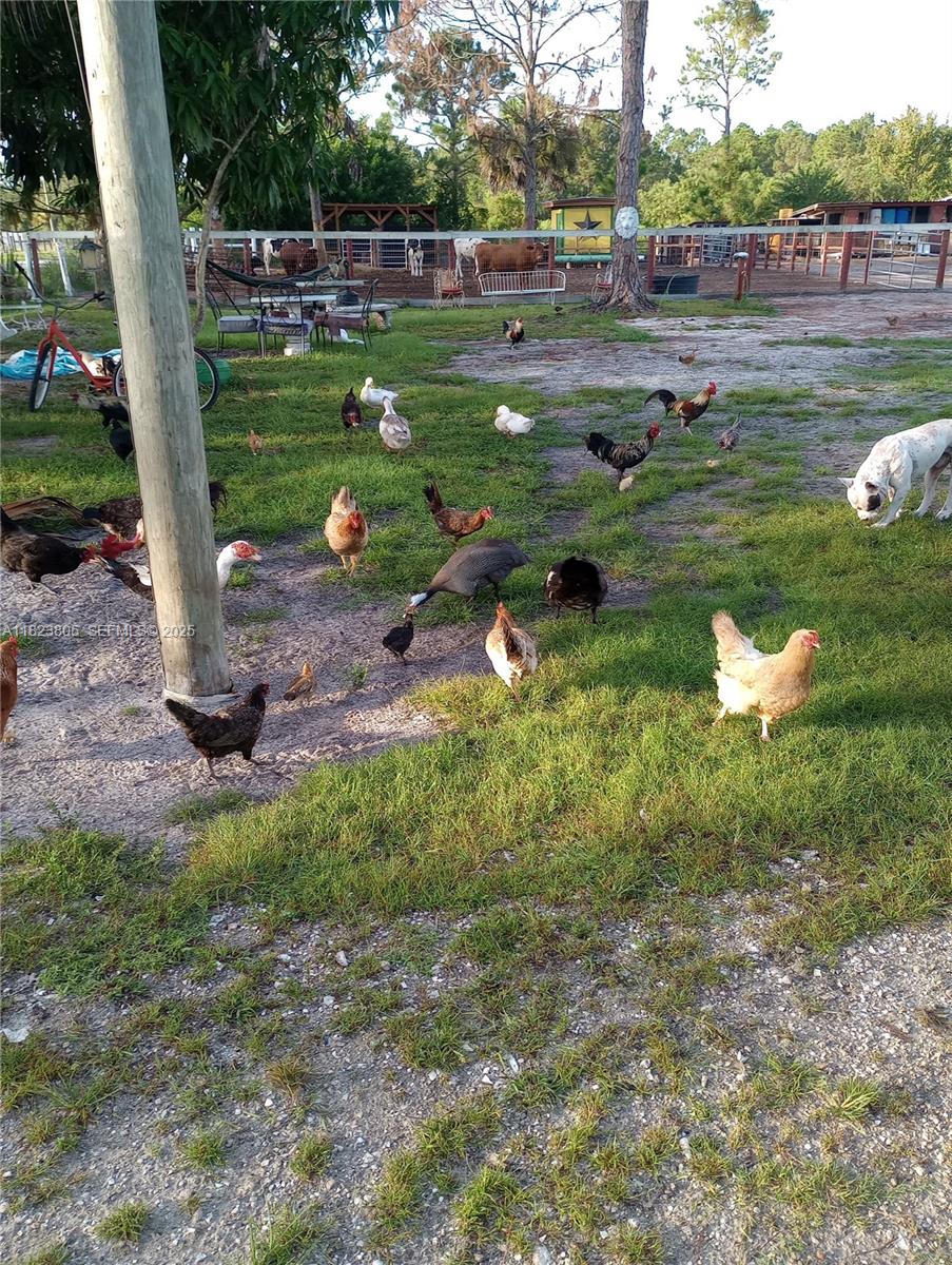 618 Hunting Club Road Clewiston, FL 33440 - Photo 38 of 48 Photo 38