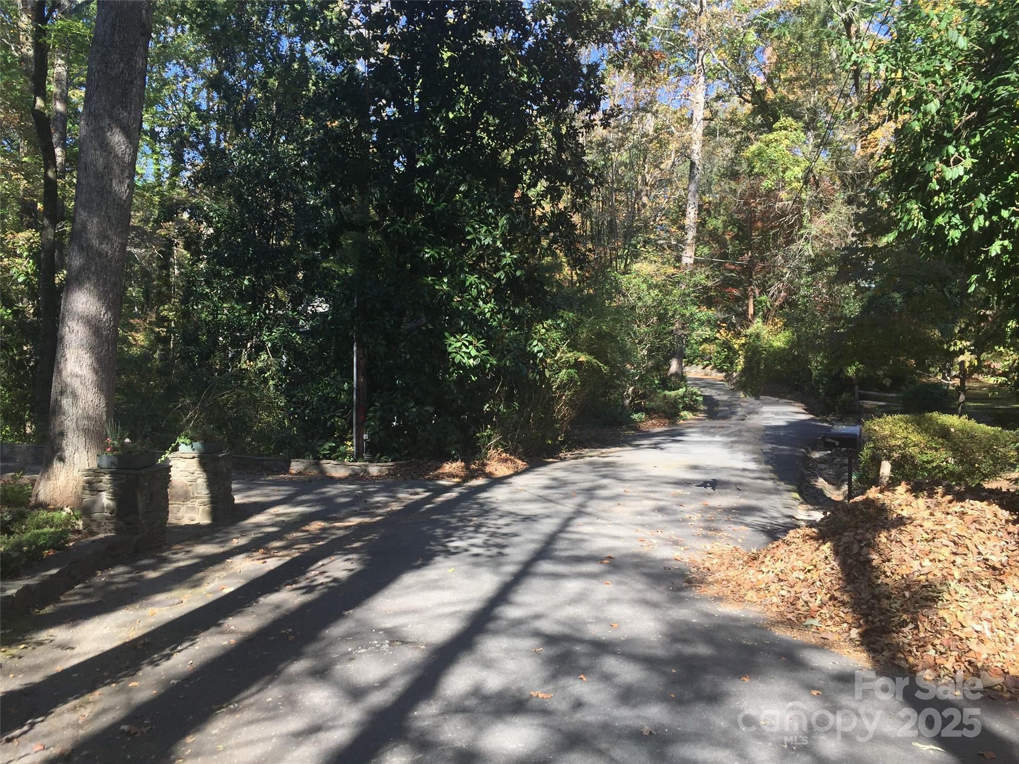 105 Melrose Lane Tryon, NC 28782 - Photo 33 of 35 a view of a tree with a yard