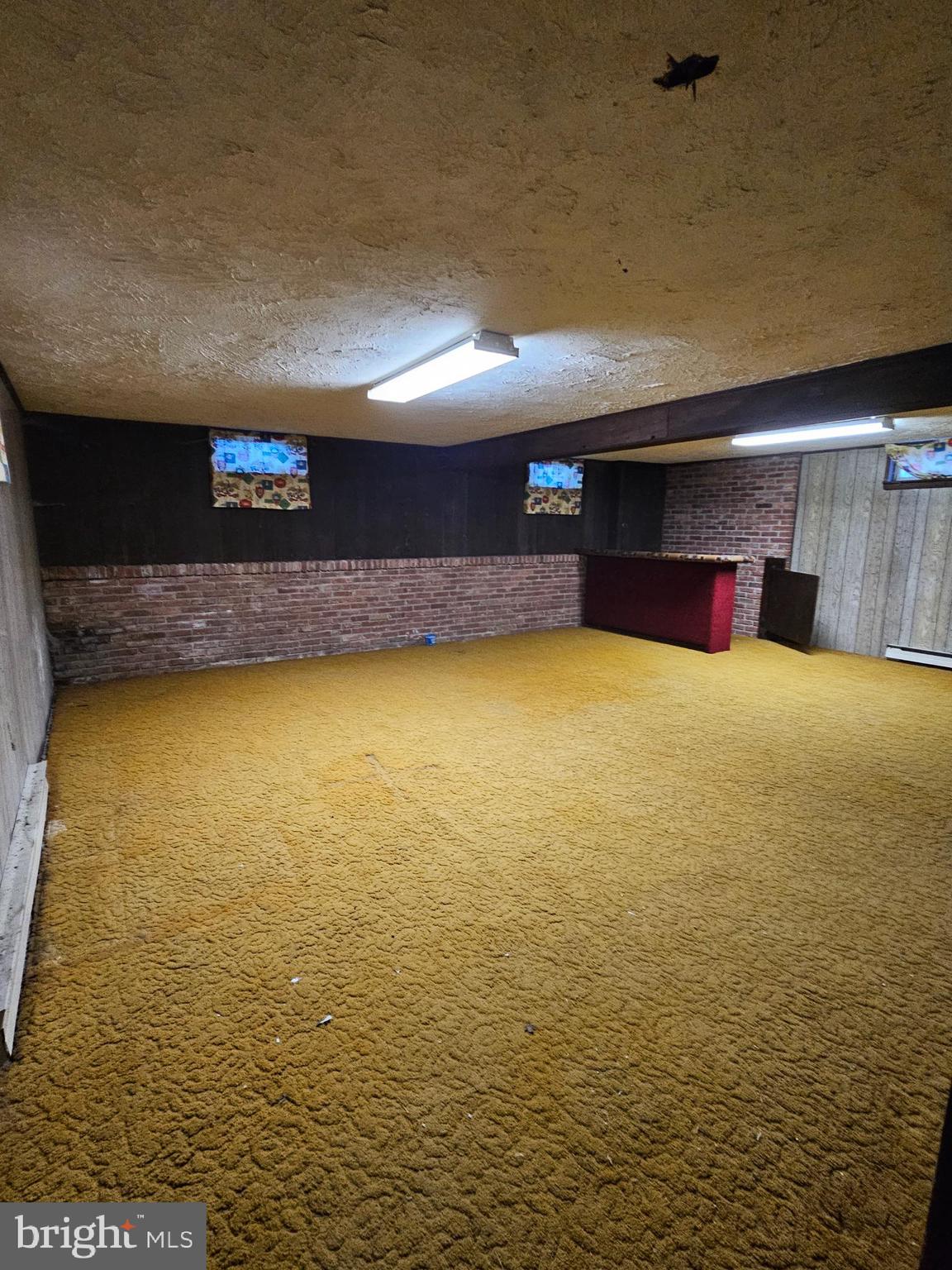 1124 Cedarbrook Road Hampstead, MD 21074 - Photo 35 of 46 Rec room w/carpeting 1/2 brick wall