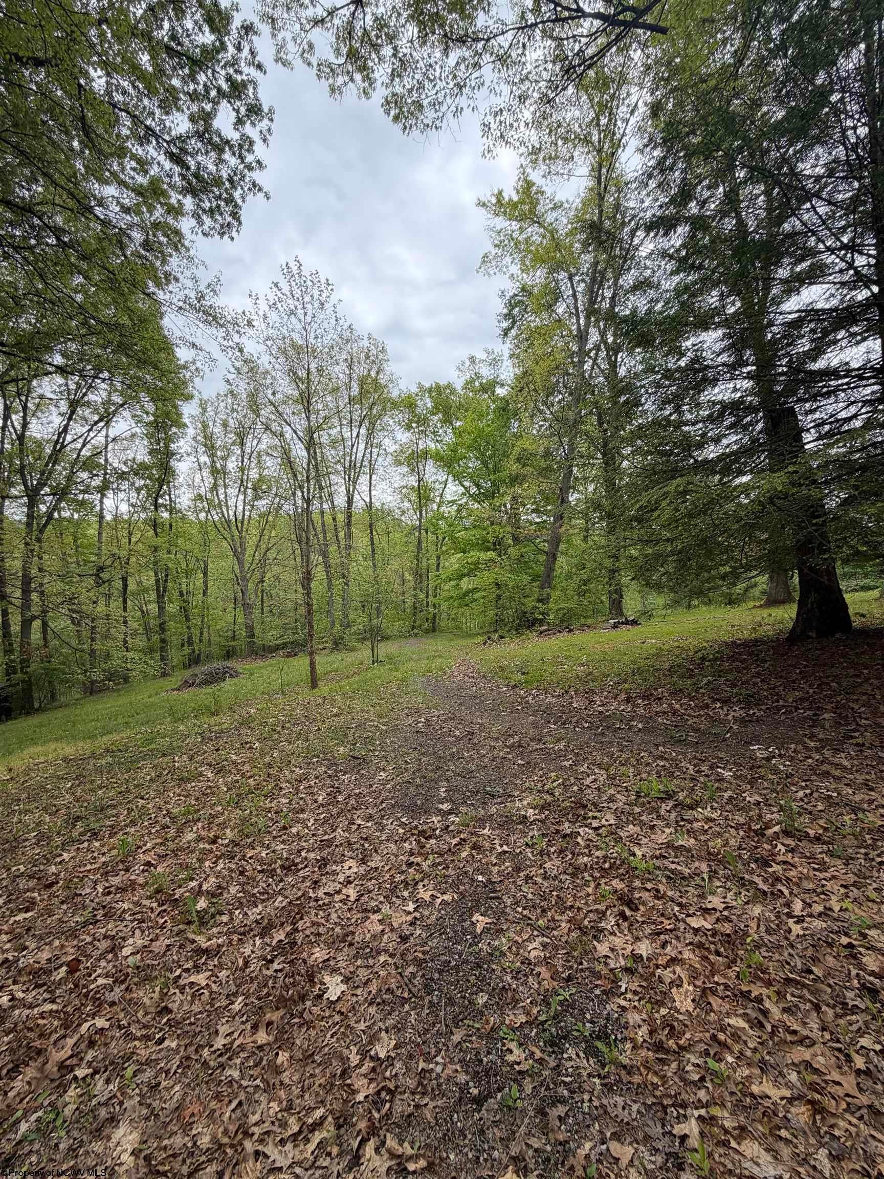 3112 Back Road Beverly, WV 26253 - Photo 42 of 46 Gallery Image 42