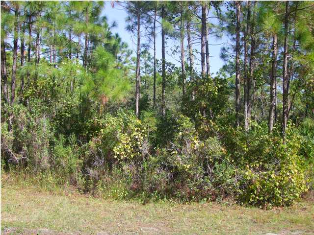 8 Teats Road Apalachicola, FL 32320 - Photo 1 of 1