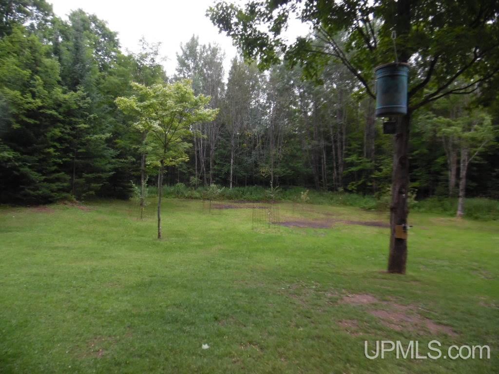 1817 West Maple Ridge 37 Road Rock, MI 49880 - Photo 22 of 33 Gallery Image 22