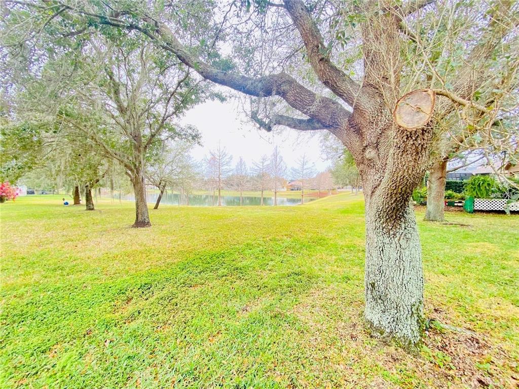 13920 Bluebird Pond Road Windermere, FL 34786 - Photo 20 of 20 Gallery Image 20
