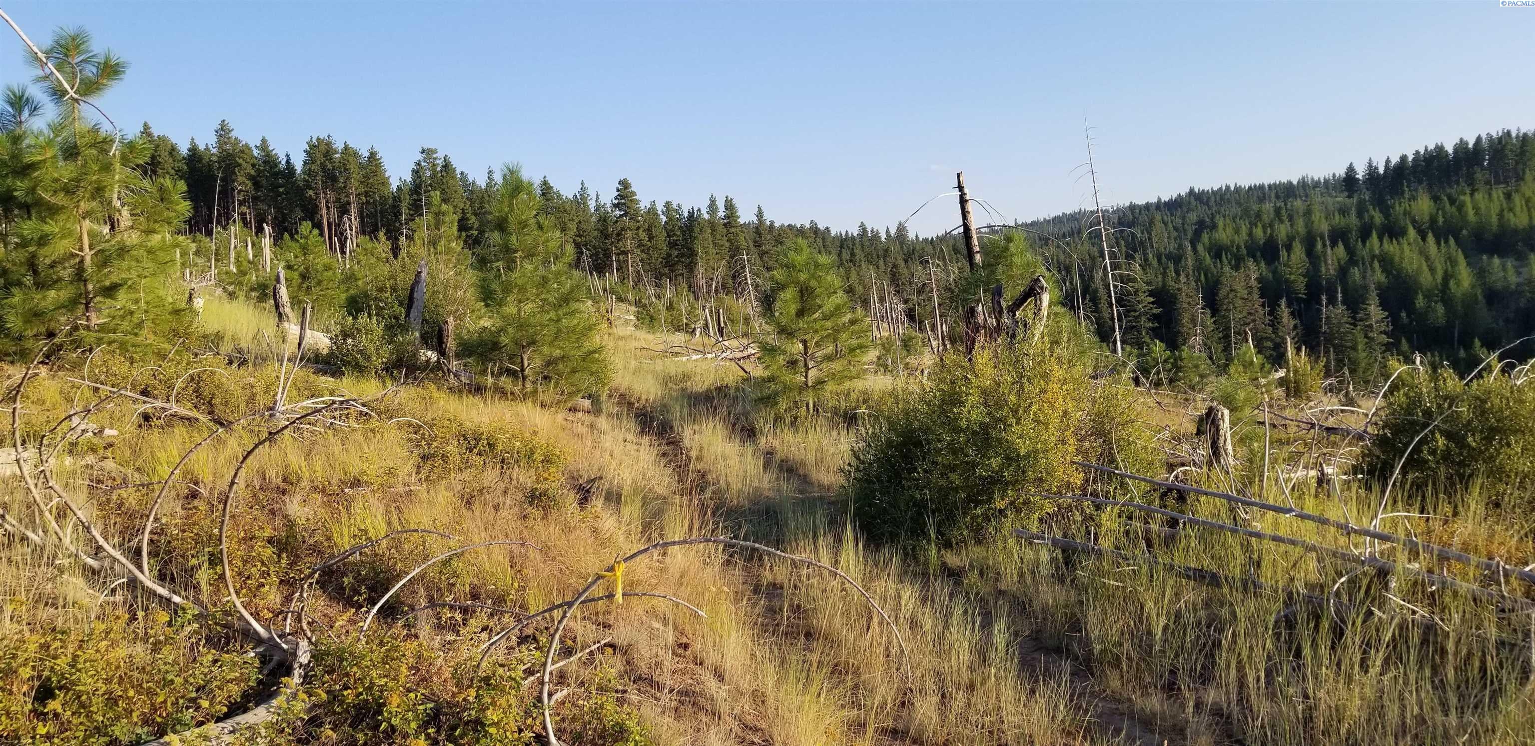 Lot1-tbd Lot1-tbd Stevens Ridge Pomeroy, WA 99347 - Photo 17 of 47 Gallery Image 17
