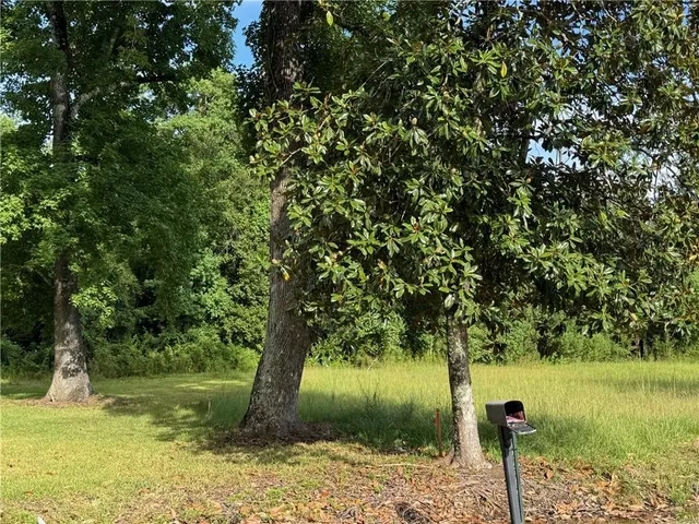 $15,000 | 32882 Lower Rome Road, Springfield, LA 70462