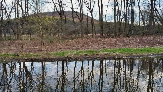 $739,000 | 1353 Peas Eddy Road, Hancock, NY 13783