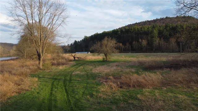 $739,000 | 1353 Peas Eddy Road, Hancock, NY 13783