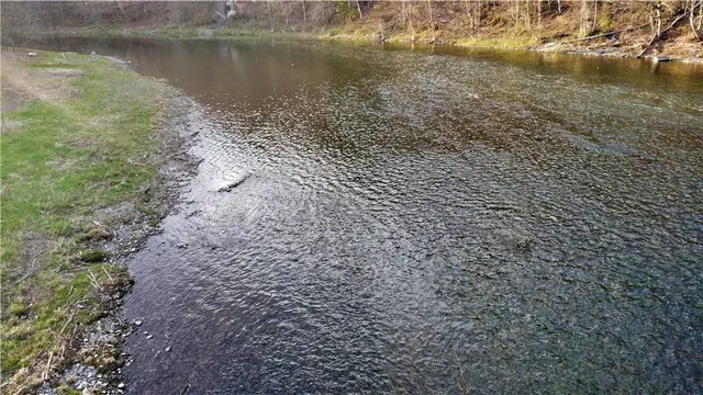 $739,000 | 1353 Peas Eddy Road, Hancock, NY 13783