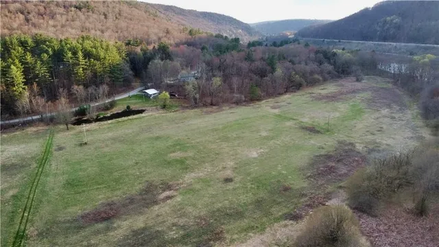 $739,000 | 1353 Peas Eddy Road, Hancock, NY 13783