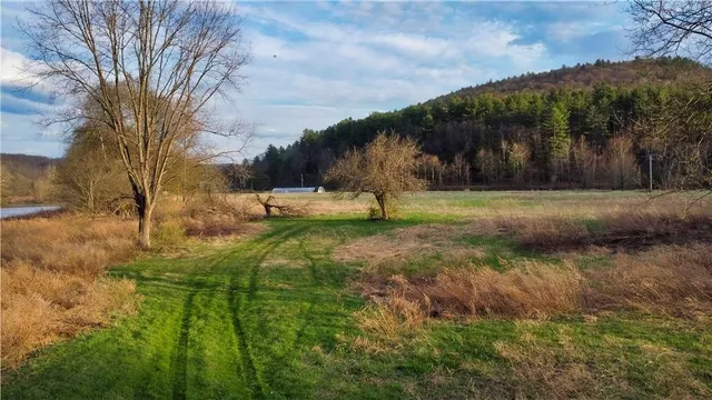 $739,000 | 1353 Peas Eddy Road, Hancock, NY 13783