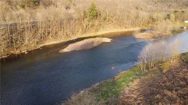 $739,000 | 1353 Peas Eddy Road, Hancock, NY 13783