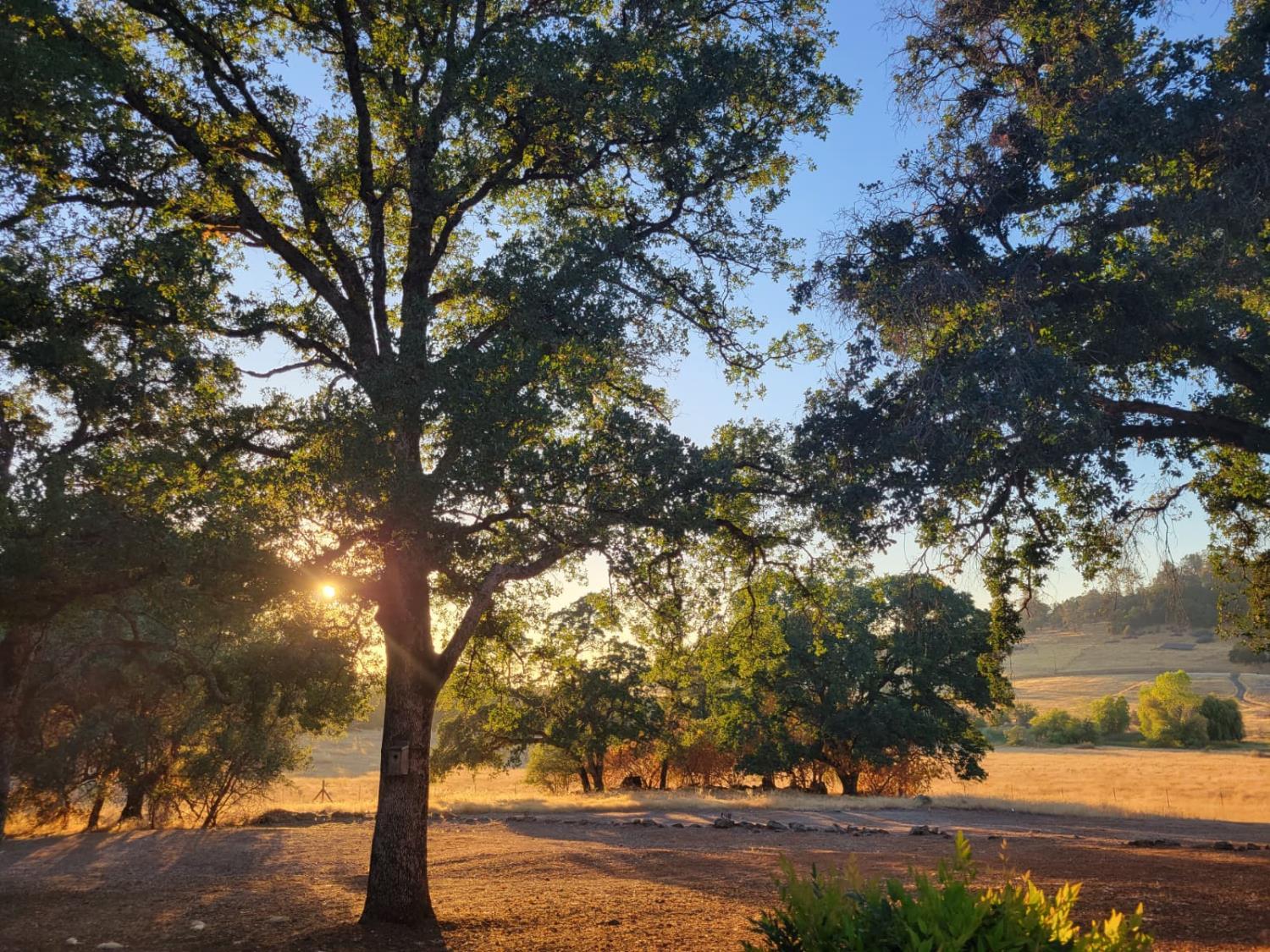 19890 Perimeter Road Grass Valley, CA 95949 - Photo 77 of 95