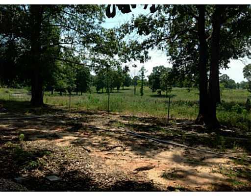 0 Jackson Road Kentwood, LA 70444 - Photo 9 of 25 Gallery Image 9