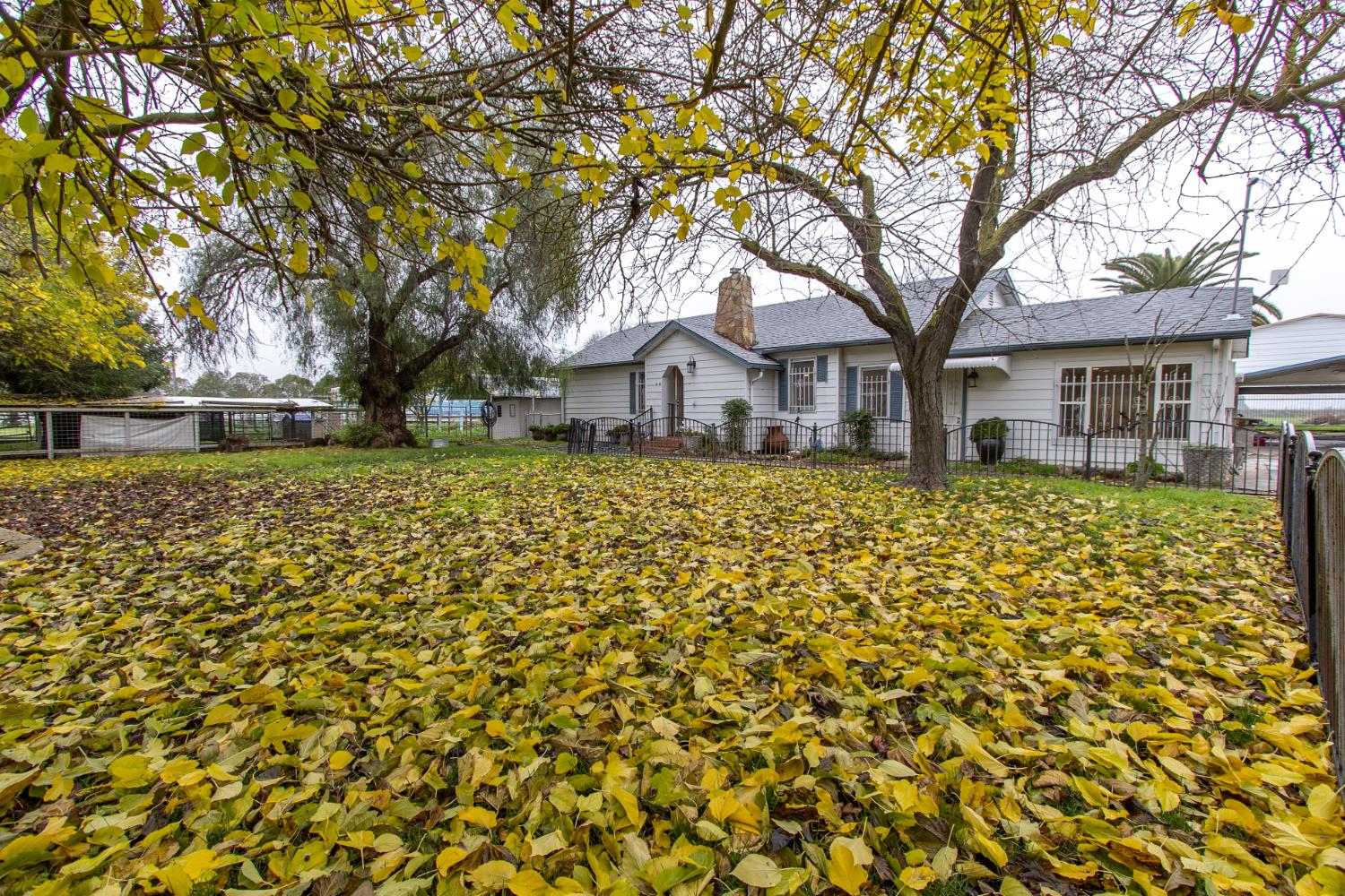 4342 Vassar Avenue Merced, CA 95341 - Photo 3 of 56