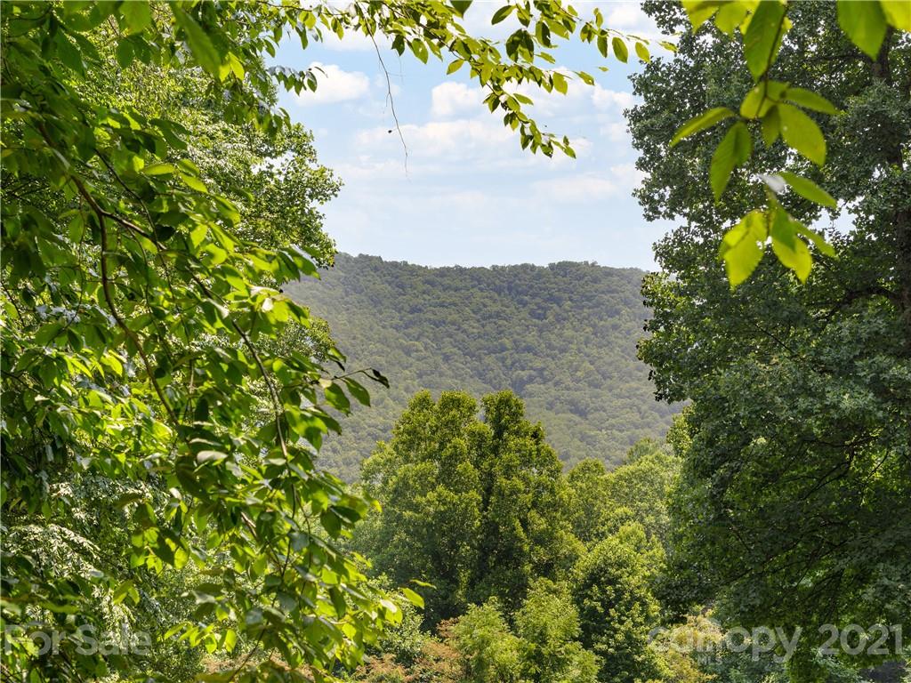 52 Dry Spring Road Candler, NC 28715 - Photo 22 of 24 Gallery Image 22
