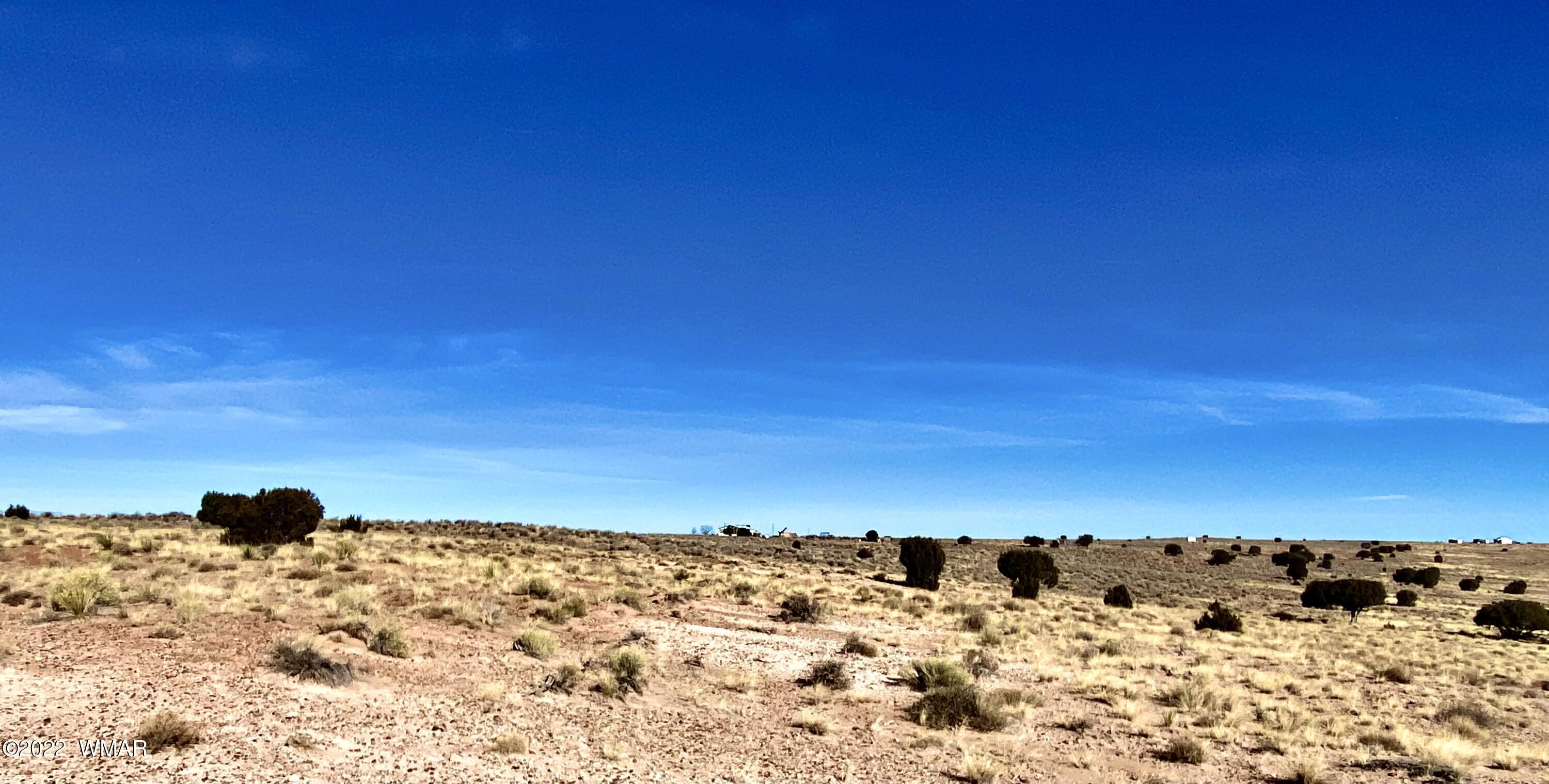 River River Meadows Ranch Concho, AZ 85924 - Photo 11 of 11
