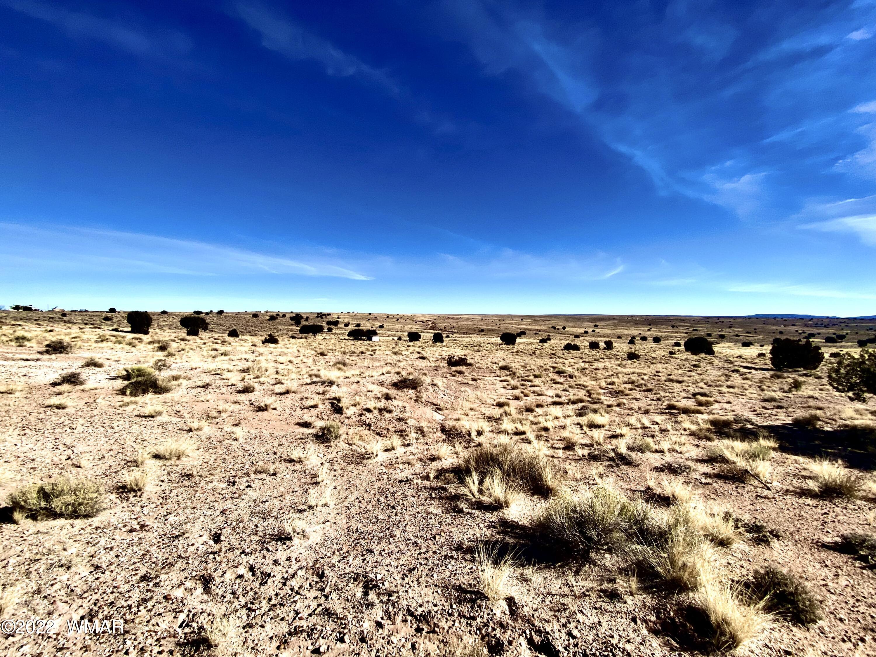 River River Meadows Ranch Concho, AZ 85924 - Photo 6 of 11