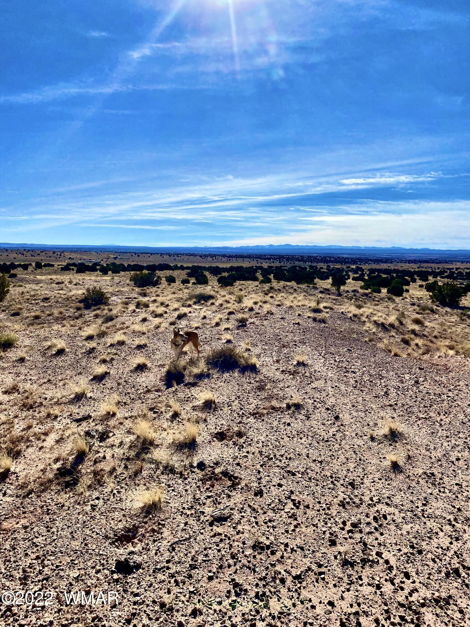 River River Meadows Ranch Concho, AZ 85924 - Photo 7 of 11