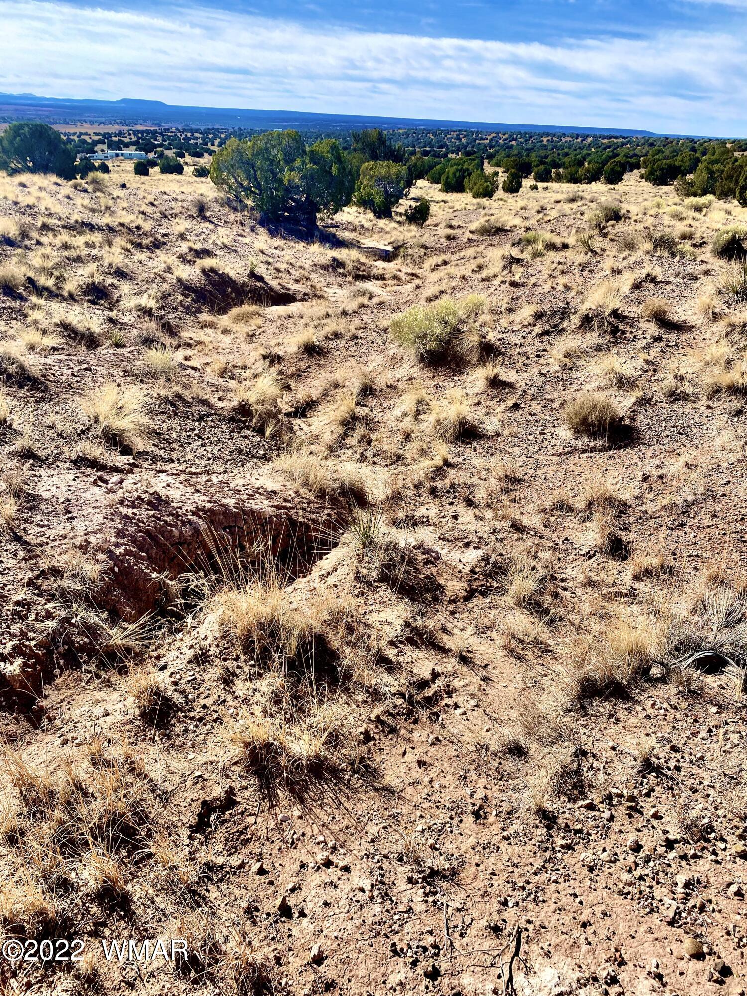 River River Meadows Ranch Concho, AZ 85924 - Photo 8 of 11